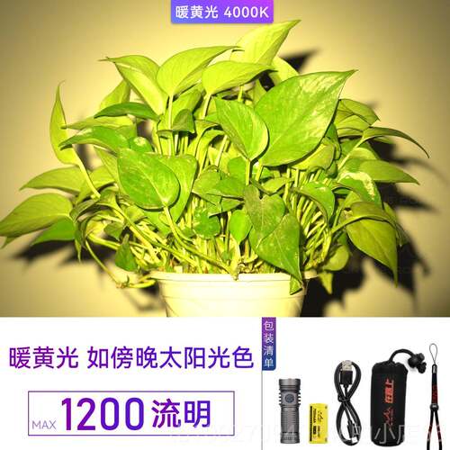 高档在上电M3 PR路O-2迷你强光USB手防身可充电小手电筒户外防水l