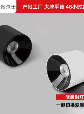 明装防眩无主灯极简黑白射灯