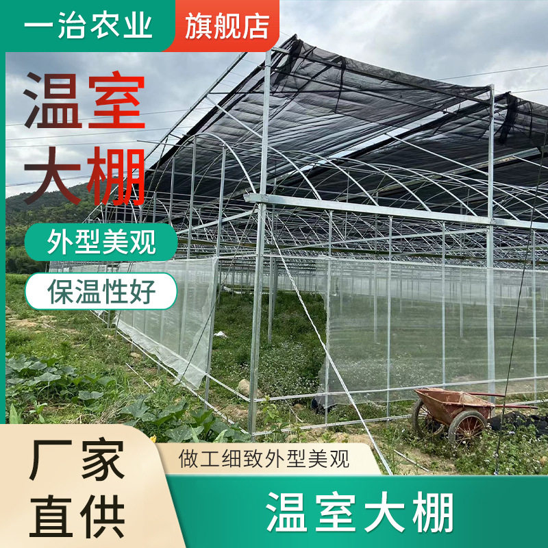 大型透明薄膜智能温室大棚