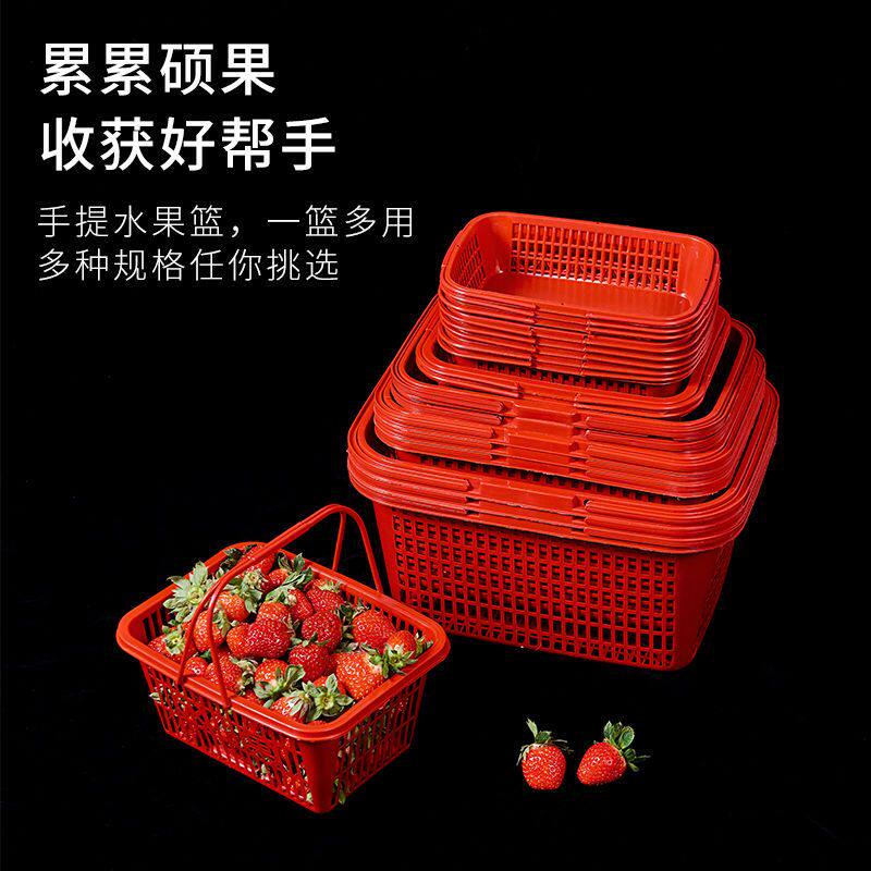 草莓采摘篮子批发杨梅樱桃鸡蛋枇杷桑葚葡萄手提塑料方形水果篮