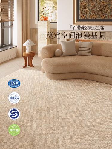 地毯客厅2025新款卧室轻奢布置高级感奶油中古免洗可擦防水加厚垫