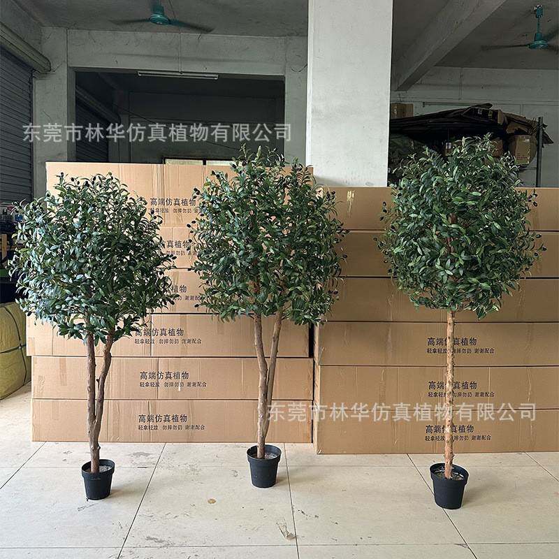 仿真橄榄摆树 室内件绿植栽人造橄盆榄树落地植摆物件仿真橄榄家