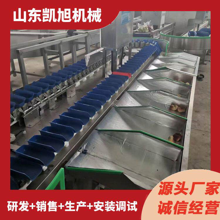 蟠桃桃油重EWB自动翻盘式分级机西红柿自动称重分选机量选全别机