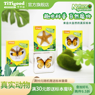 千千谷蝴蝶海洋树脂昆虫标本自然魔块真实动物儿童科普启蒙小玩具