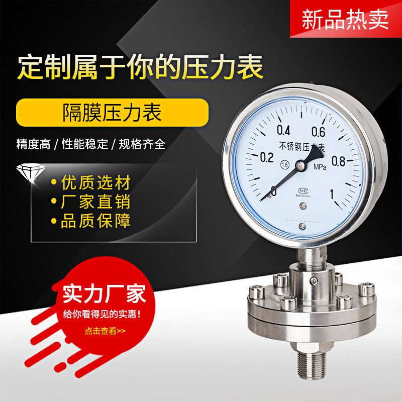 不锈钢耐震隔膜压力表YTP100BF/ML 螺纹连接耐腐蚀钽膜片316L化工