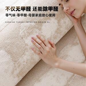 缔奢美进土耳其口客厅地毯水防防污除醛无胶式轻奢简巴塞罗娜约卧