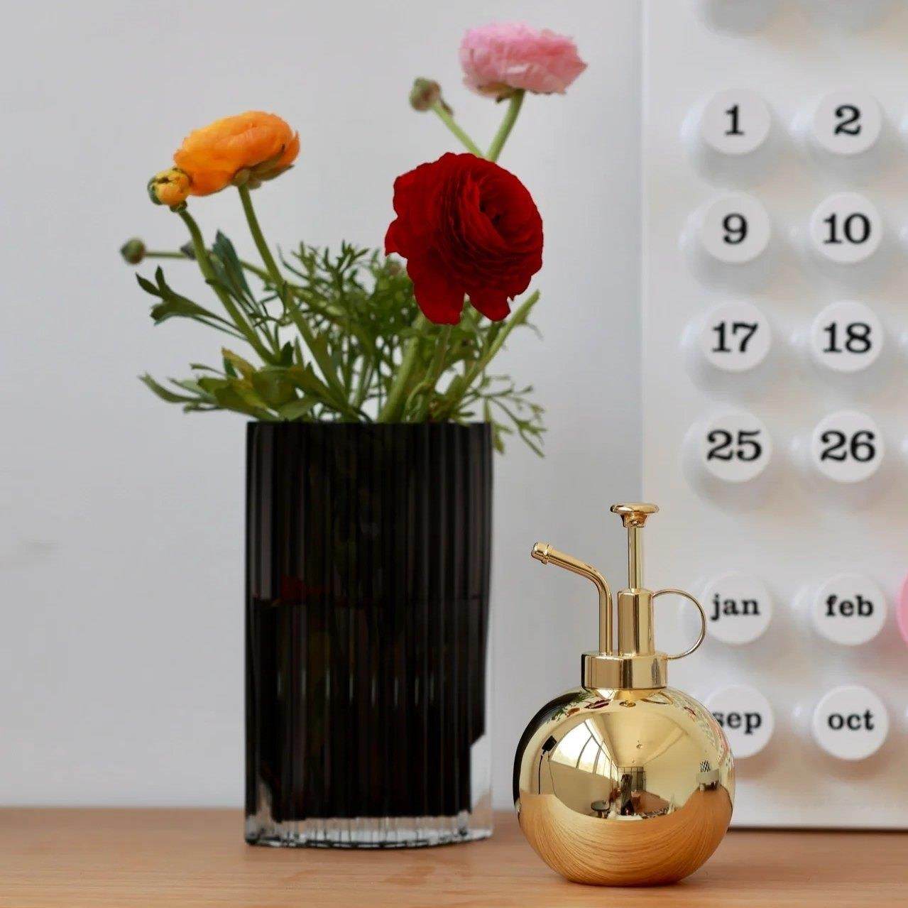 304不锈钢喷雾器轻奢圆球金属小型室内多肉绿植喷壶装饰浇花水壶,鲜花速递/花卉仿真/绿植园艺,喷壶,淘宝优惠券,粉丝福利购,淘宝优惠卷