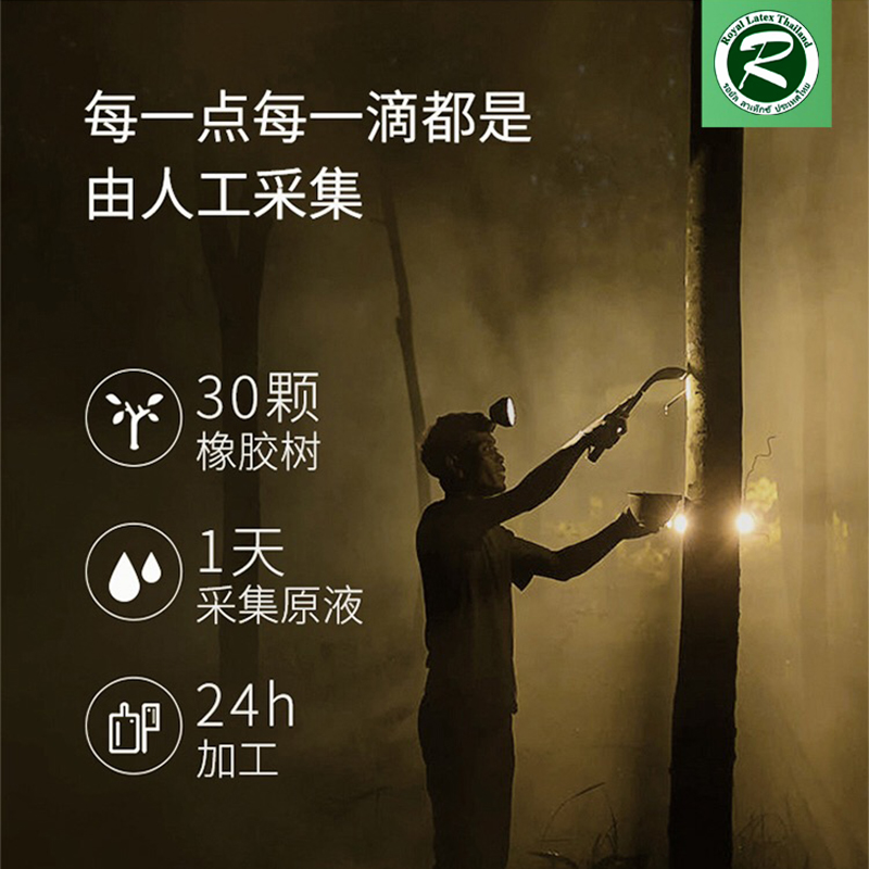 泰国皇家乳胶床垫原装进口家用学生宿舍天然橡胶软垫1.8米床定制