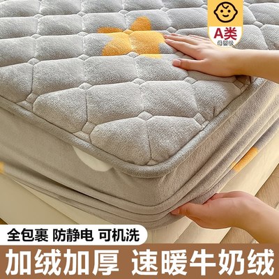 牛奶珊瑚绒床笠加绒冬天季加厚夹棉床垫套床罩床单包裹式2024新款