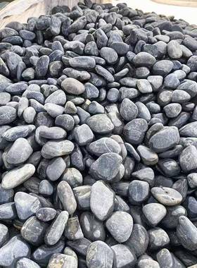 318林天然黑色鹅石2-3公分园铺路庭院造景鱼缸景黑观装饰石头卵石