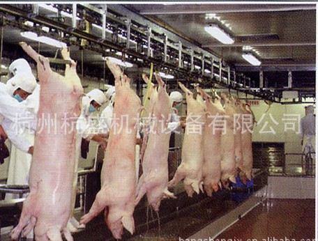 宰白条猪设备,宰生猪设备,宰母猪设备,宰毛猪设备,宰乳猪设备