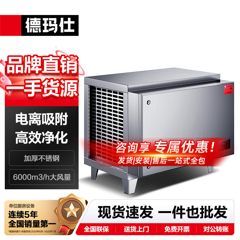 徳玛仕商用室内油烟净化器餐