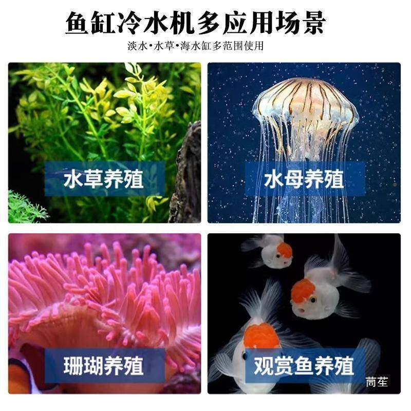 恒鱼缸冷水55机家用鱼池制海鲜池水冷机产养殖恒温机商用温一体机,厨房电器,商用净水设备,淘宝优惠券,粉丝福利购,淘宝优惠卷