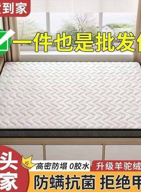 .椰棕床垫可折叠棕榈硬垫经15米儿童12济型一件包邮IRP.直销