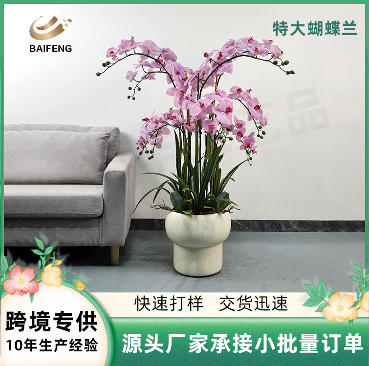 仿真特大蝴蝶兰摆件采用优质绢布精心制作花瓣柔软逼真多色可选择