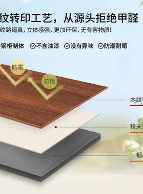 文柜书钢制铁木皮件柜办公资料档案柜带锁柜储物矮柜sytm纹柜