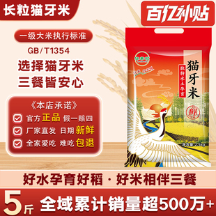 2025年当季 现磨优质大米5斤长粒米产地直供猫牙米煲仔饭1斤小包装