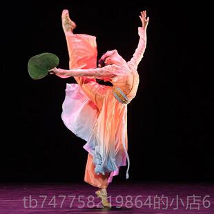 正品古典舞演出女儿童舞舞蹈服越剧女词中国舞幼儿台服表演目古风