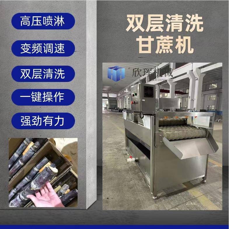 生产打甘蔗刷清洗机橙子清洗机毛抛光UUQ蜡机