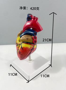 生产人体心脏模带字标识可L621拆型上盖YA01数4