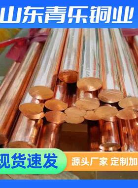厂家现货实心红铜棒TQRB2紫铜接地电导紫铜棒用棒C1100紫铜棒