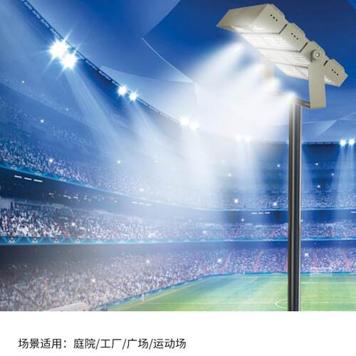 雷居高照明体LED户外F23SMD模组隧道F23SMD投光户外防雨杆育馆灯