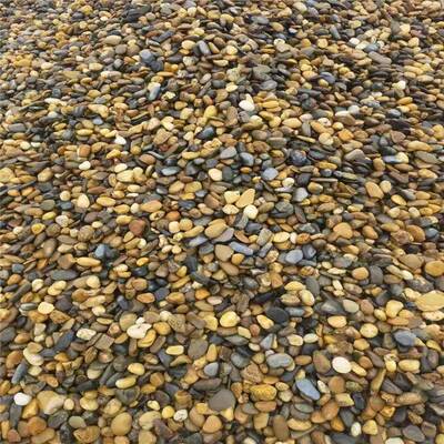 天然鹅卵石滤料水理垫处鹅卵石51303滤料花卉园层林造景变压器卵