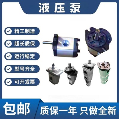 ROQUET齿轮泵1L6DE10B 1L12DE10B  1L18DE10B  1L24DE10B油泵马达