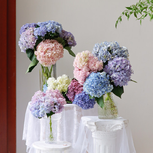 绣球花鲜花直批礼品婚礼婚庆商务水养鲜切花插花装饰摆件圣诞节礼