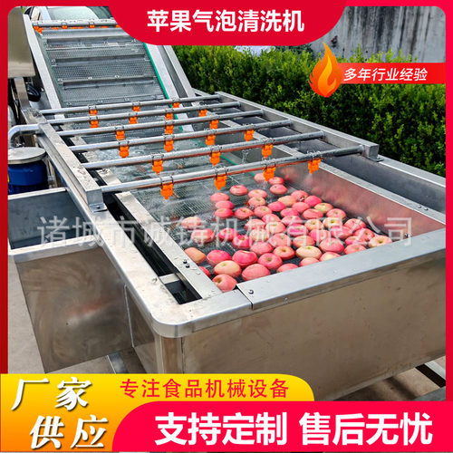 工厂用果蔬气泡清洗机果脯鼓泡翻浪清洗机设备杏干气泡清洗风干线