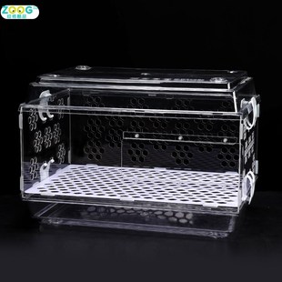 豚鼠笼子饲养箱透明天竺鼠荷兰鼠迷你宠物用品荷兰猪箱子套餐