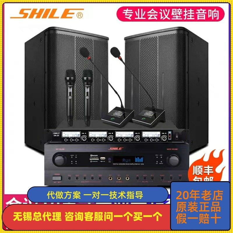 狮乐 BX505-AV1018会议室套系无线话筒壁挂音响校园广播商铺功放