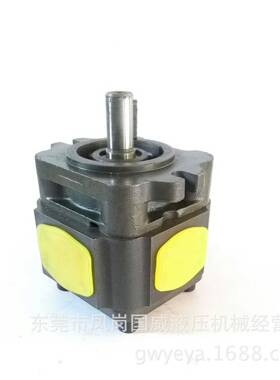 B爆款ESHA齿PP内啮合齿轮泵IG501BSN25H-01高压液压泵低噪音轮泵