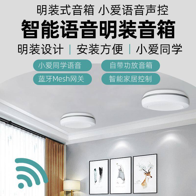 明装式语音吸顶音响小爱同学声控点歌无线蓝牙wifi喇叭智能家居控