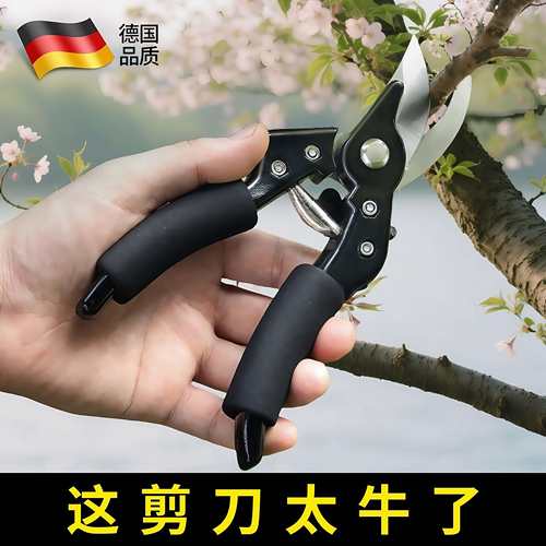 德国园艺剪刀修枝剪树枝剪刀园林果树剪刀修花枝剪刀剪枝剪子神器