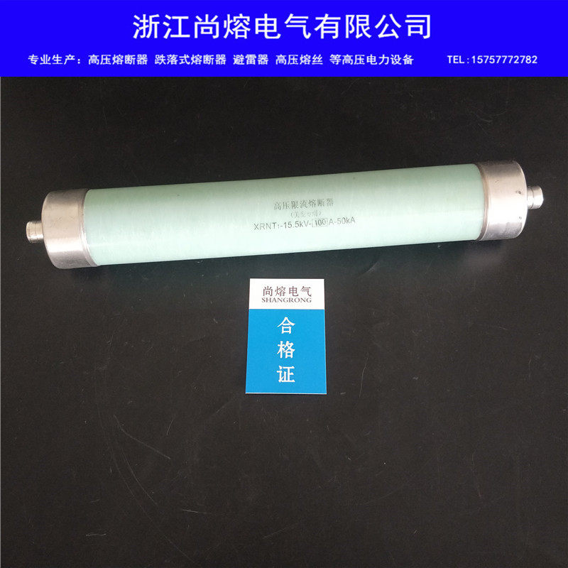 后备XRNT1-15.5KV/50A80A100A-50KA高压限流熔断器美变专用油浸式