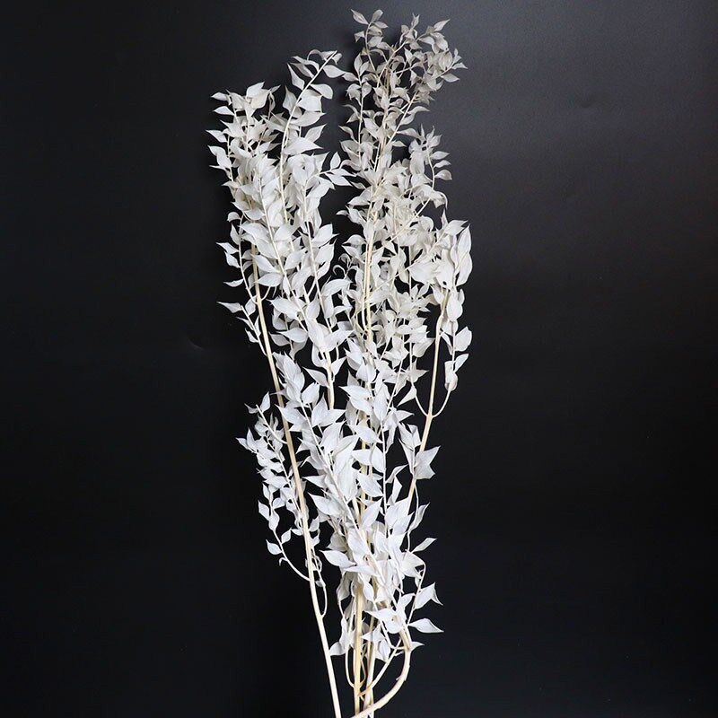 富贵叶干花包混搭花束永生花材家居装饰真花漂白树叶婚庆布景材料