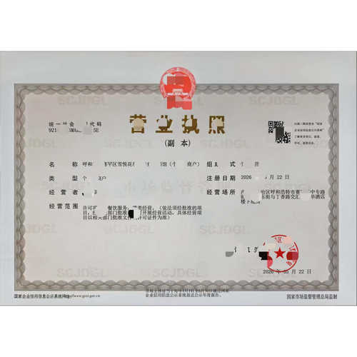 营业执照查询/快速电子版调取下载/企业查询/全彩专业定制服务