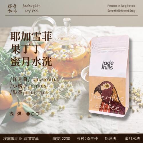 耶加雪菲浅烘焙蜜月水洗手冲豆