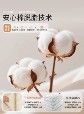 全棉双幼儿园被XPC子三件套儿童园午纱睡专层用棉入花被褥六件套