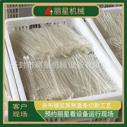 免晾晒粉皮加工设备，丽星水晶粉皮机带烘干加工干粉皮出机