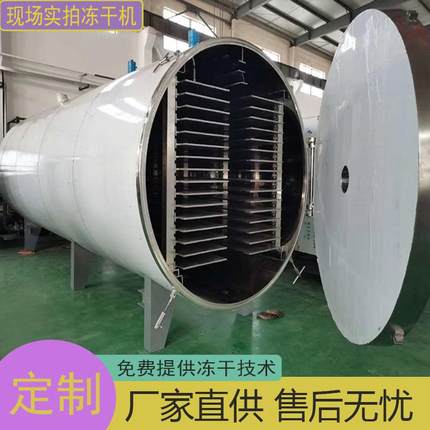 蜂蜜柠檬冻干机综合果蔬粉真空冷冻干燥机柚子茶真空冻干机