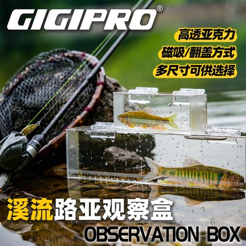 吉靡透明水晶观察盒 野采透明观鱼盒 带刻度尺便携式溪流观鱼器