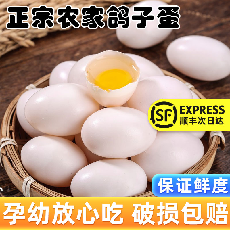 新鲜精选鸽子蛋30枚700g左右正品农家杂粮散养土鸽蛋孕妇宝宝辅食