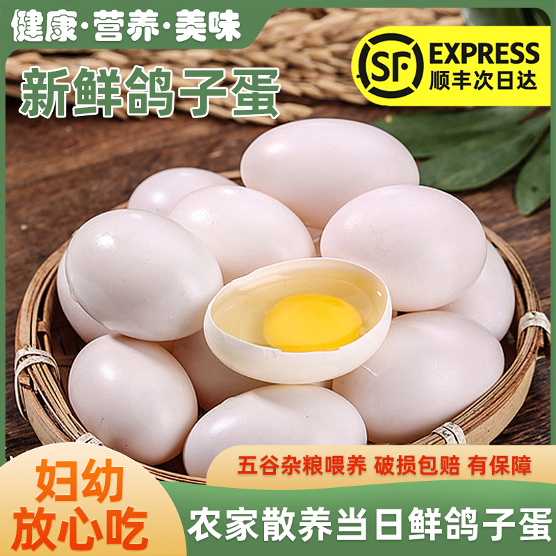 鸽子蛋新鲜30枚700克左右五谷杂粮散养孕妇宝宝老人补充营养辅食