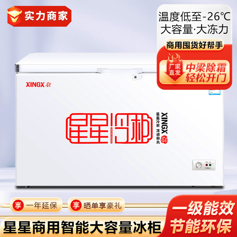 星星冰柜冷藏保鲜冷冻冰箱速冻雪糕冷饮海鲜柜卧式冷柜商用冰柜