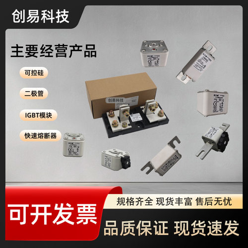 170M3663 170M3664 170M3665 170M3666 170M3667熔断器170M系列
