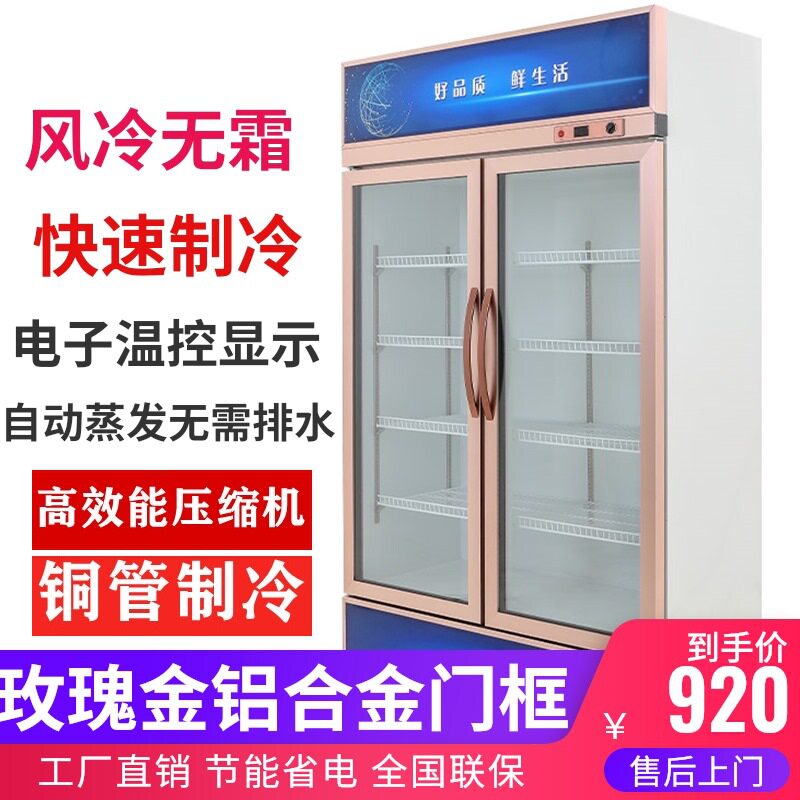 冷藏柜展示柜保鲜柜立式双门铜管商用饮料冷饮蔬菜水果柜冰柜