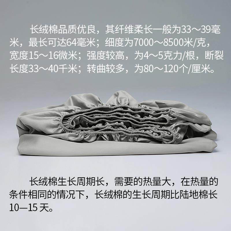 5cm米TTqxuumz厘米10公分薄床垫榻榻单件8床笠款床纯单保护套罩棉