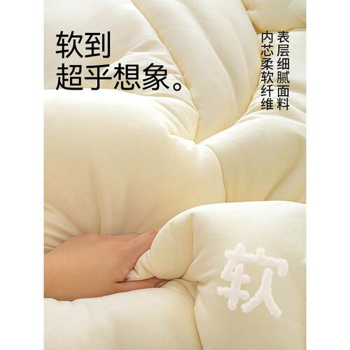 宿人舍单学冬被加厚保四季通用薄春秋被冬季暖双人被子DB32生被芯